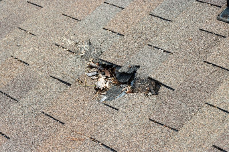 Causes Of Asphalt Shingle Damage And When Repair Is Enough